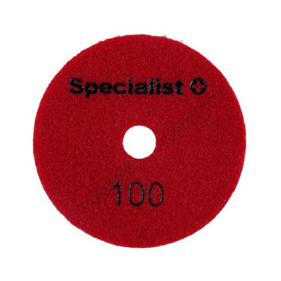 Prekės „SPECIALIST+ deimant. Šlifavimo lap., 100 mm, 100P“ paveikslėlis
