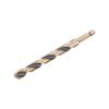 Prekės „Grąžtas metalui HEX 1/4, 10,0 mm, DeWALT“ paveikslėlis