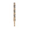 Prekės „Grąžtas metalui HEX 1/4  12.0 mm. DeWALT“ paveikslėlis