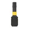 Prekės „Smūginių antgalių rinkinys 25 mm. EXTREME, DeWALT, 14 vnt.“ paveikslėlis