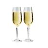 Prekės „Kelioninių šampano taurių rinkinys GSI Outdoors Nesting Champagne Flute Set“ paveikslėlis