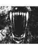 Prekės „Kaklaskarė Skaara Werewolf“ paveikslėlis