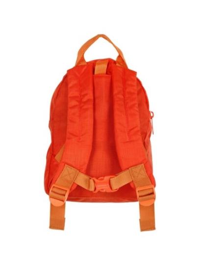 Prekės „Vaikiška kuprinė Littlelife Lion Toddler Backpack“ paveikslėlis