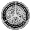 Prekės „Šalto oro kaukės filtrai Airtrim Racing 1 (2 vnt)“ paveikslėlis