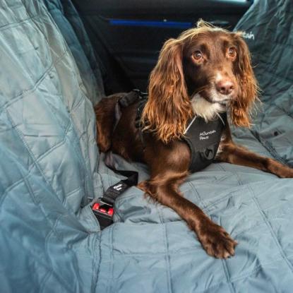 Prekės „Šunų saugos diržas Mountain Paws Dog Seat Belt“ paveikslėlis