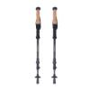 Prekės „Trekingo lazdos Lifesystems Carbon Fibre Trekking Poles“ paveikslėlis