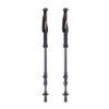 Prekės „Trekingo lazdos Lifesystems Carbon Fibre Trekking Poles“ paveikslėlis