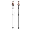 Prekės „Trekingo lazdos Lifesystems Carbon Fibre Trekking Poles“ paveikslėlis