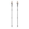 Prekės „Trekingo lazdos Lifesystems Carbon Fibre Trekking Poles“ paveikslėlis