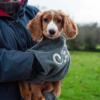 Prekės „Rankšluostis Mountain Paws Muddy Dog Towel - Pilka“ paveikslėlis