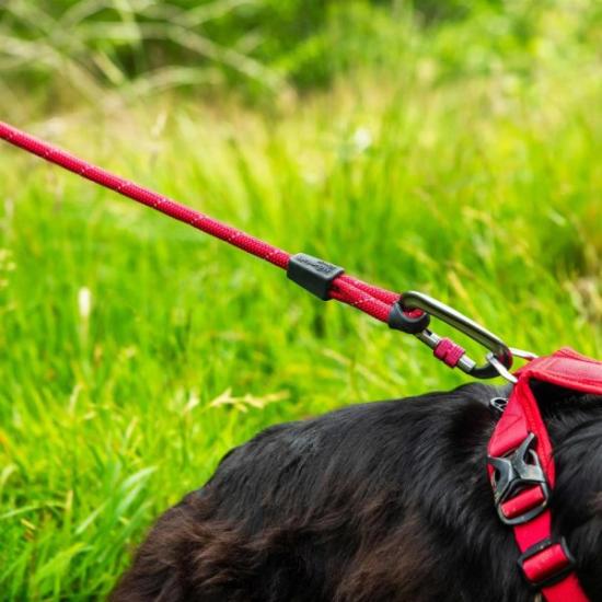 Prekės „Šunų pavadėlis Mountain Paws Rope Dog Lead - Raudona“ paveikslėlis