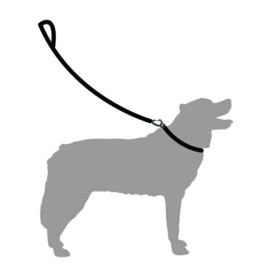 Prekės „Šunų pavadėlis Mountain Paws Rope Dog Lead - Raudona“ paveikslėlis