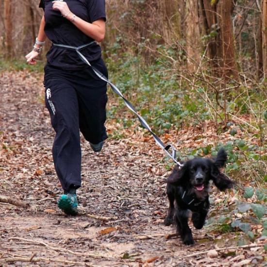 Prekės „Šunų pavadėlis Mountain Paws Shock Absorber Dog Lead - Juoda“ paveikslėlis