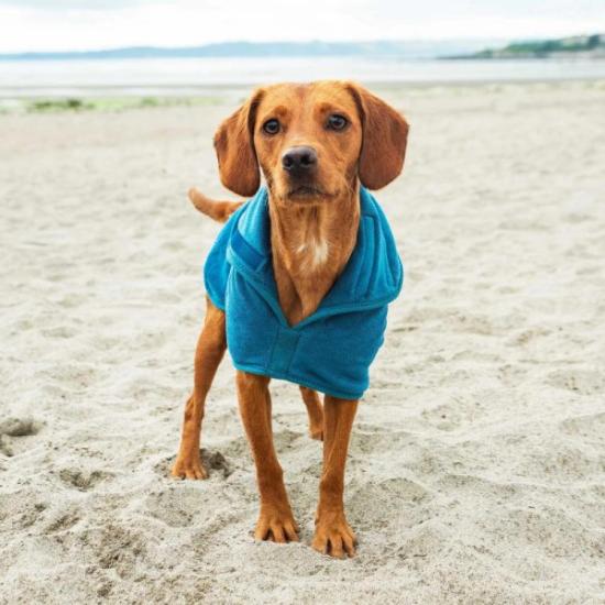 Prekės „Šunų chalatas Mountain Paws Dog Robe - Mėlyna, S“ paveikslėlis