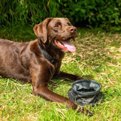 Prekės „Dubenėlis šunims Mountain Paws Collapsible Dog Water Bowl - Chaki (Khaki)“ paveikslėlis