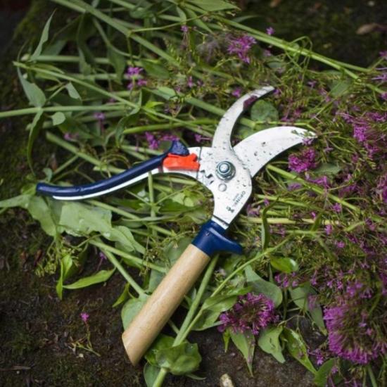 Prekės „Sekatorius Opinel Pruner - Mėlyna“ paveikslėlis