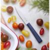 Prekės „Virtuvinis peilis Opinel Nr.313 Serrated Knife - Tamsiai mėlyna“ paveikslėlis