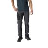 Prekės „Vyriškos kelnės Rab Ascendor Pants Regular Leg - Pilka, S“ paveikslėlis