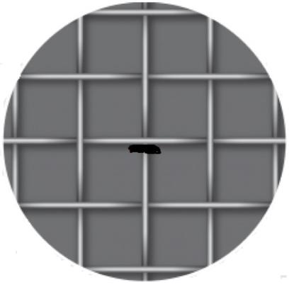 Prekės „Tvoros tinklas pintas 2,82 x 2,82 mm 1,0 m 25 m cinkuotas“ paveikslėlis