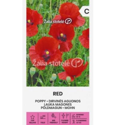 Prekės „Dirvinių aguonų sėklos RED, 1 g“ paveikslėlis
