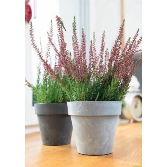 Prekės „Plastikinis vazonas, Ø 22 cm“ paveikslėlis