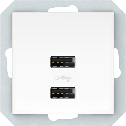 Prekės „Lizdas USB maitinimo 2 vietų QR1000B“ paveikslėlis