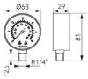 Prekės „Radialinis manometras FERRO, 0-6 bar, 63 mm, 1/4", M6306R“ paveikslėlis