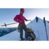 Prekės „Žygių ir kalnų lazdos MSR Poles DynaLock Ascent Carbon Backcountry“ paveikslėlis
