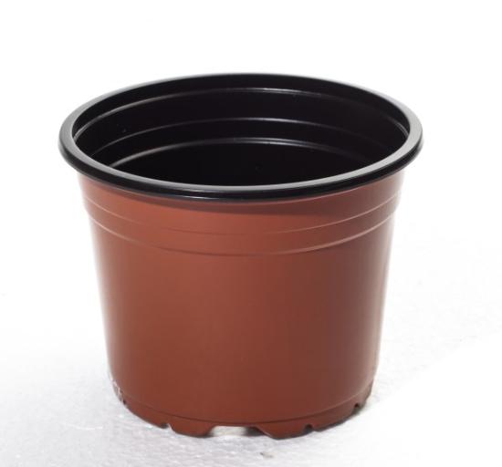 Prekės „Vazonėlis daigams Ø 14 cm GPVCD14“ paveikslėlis