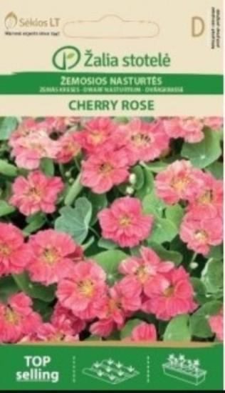 Prekės „Sėklos Nasturtos žemosios CHERRY ROSE“ paveikslėlis