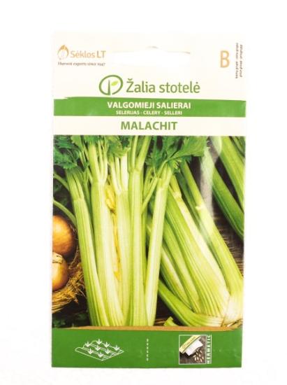 Prekės „Sėklos salierai lapkotin.MALACHIT“ paveikslėlis