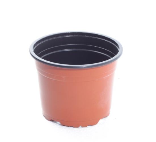 Prekės „Vazonėlis daigams VCB15, Ø 15 cm“ paveikslėlis